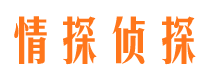 谢家集婚外情调查